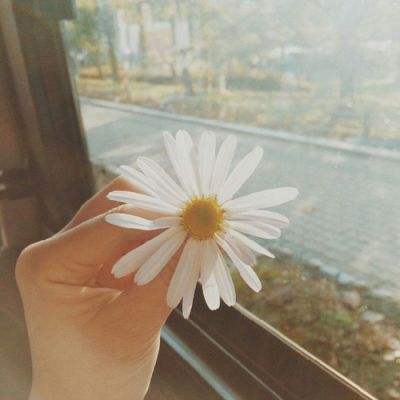 皇冠新体育APP官方入口截图